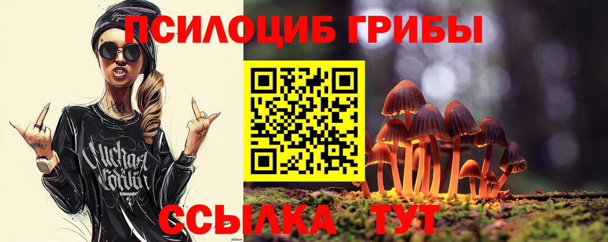 Выборг  Галлюциногенные грибы Psilocybine cubensis  купить наркотик  Вход с VPN 