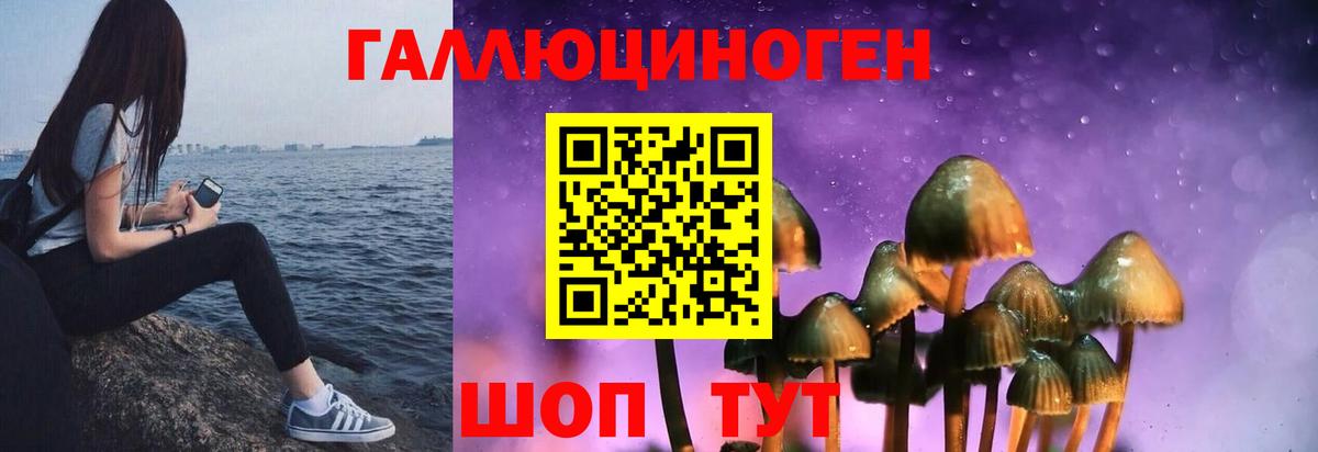 Галлюциногенные грибы мицелий Выборг