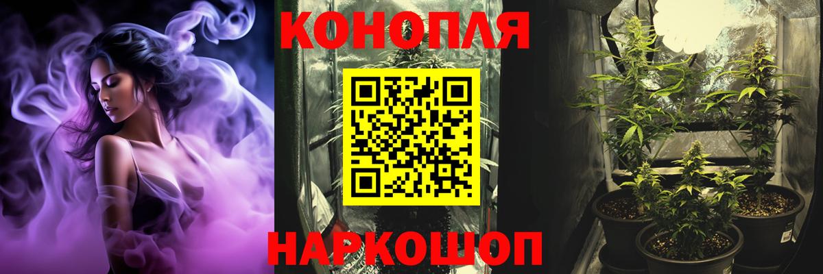 Шишки марихуана SATIVA & INDICA Выборг